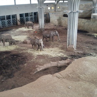 Kölner Zoo