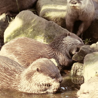 Zoos und Tierparks