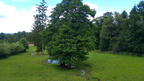 20170721 142054 HDR