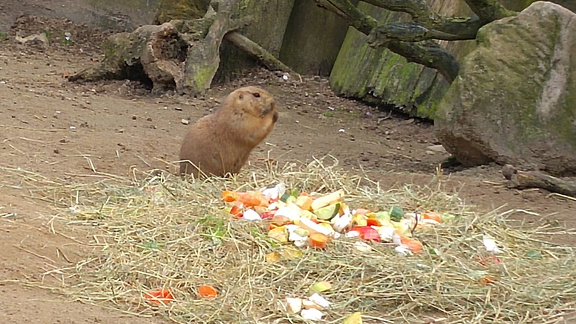 20170401 111644 HDR