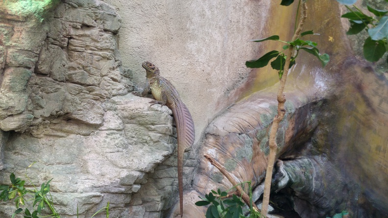 20170401_131905_HDR.jpg