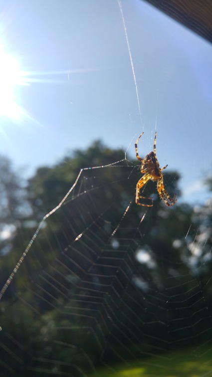 20170902_121732_HDR.jpg