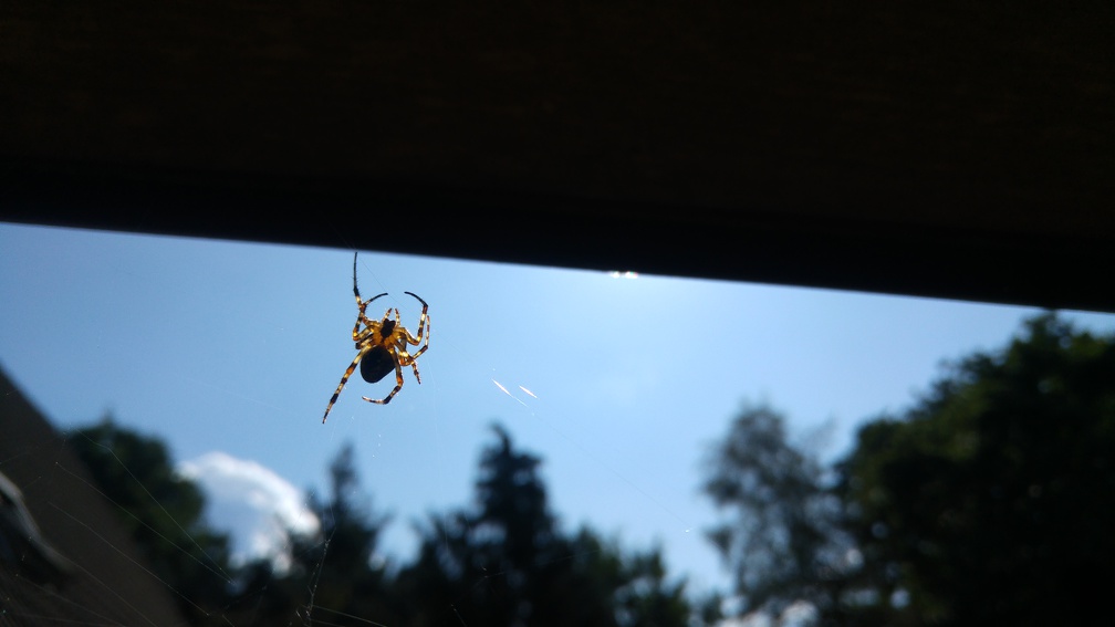 20170902_121854_HDR.jpg