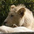 P1130503