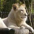 P1130530