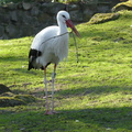 P1150395