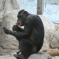 Zoo am Meer in Bremerhaven 