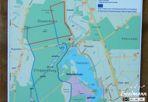 Landschaft und Umgebung / Thüle und Thülsfelder Talsperre | Ludger's Fotos